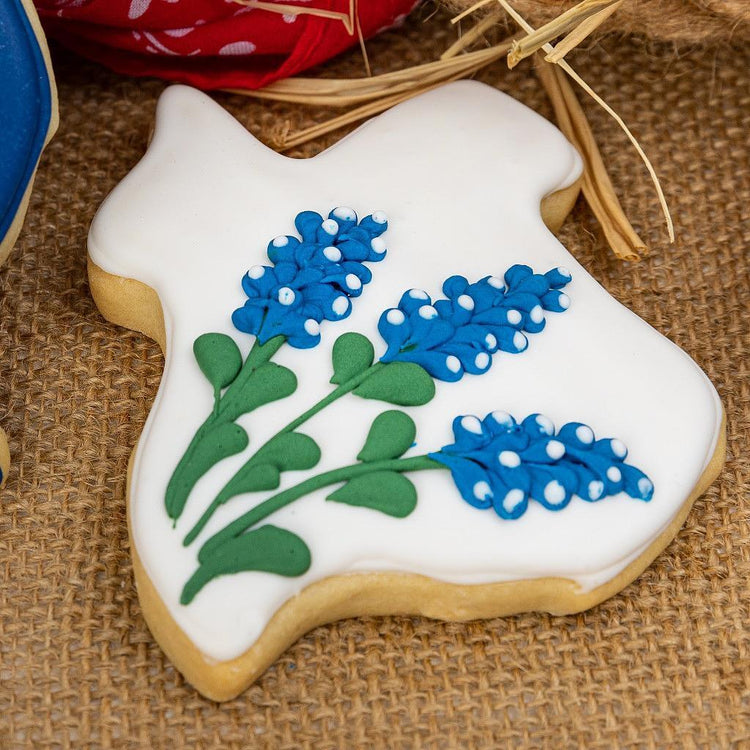 TX_WOCO_w_Bluebonnets.jpg