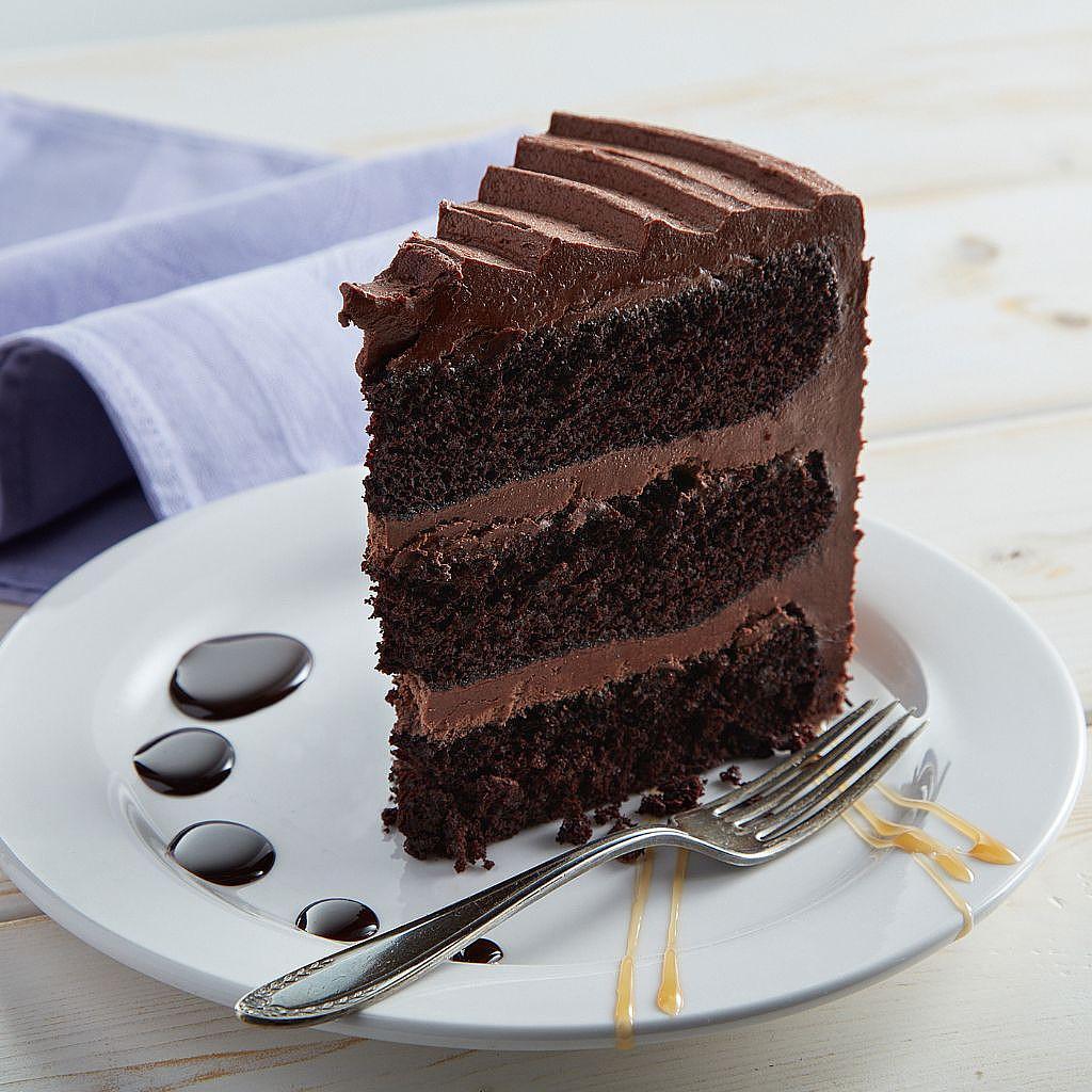 Vegan_Mom_s_Chocolate_Cake_Slice-medium.jpg