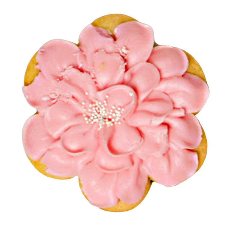 WOCO_-_Pastel_pink_flower.jpg