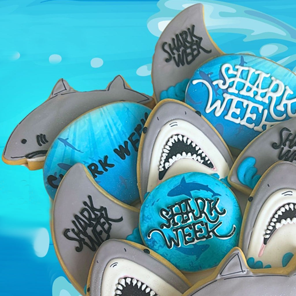 WOCO_-_Shark_Week.jpg