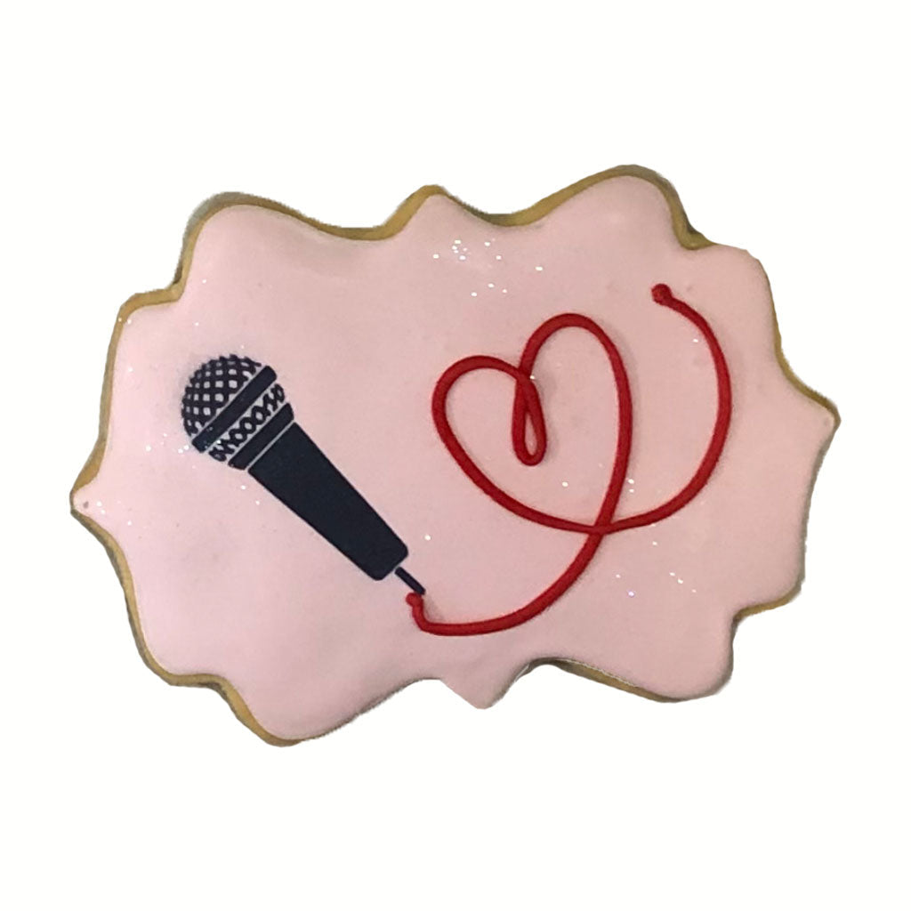 WOCO_-_Taylor_S_-_microphone_b2de68d7-b725-4683-b32a-6f528c38061d.jpg